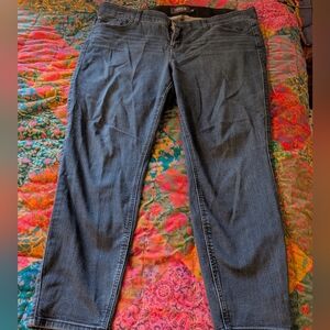 Torrid Dark Blue Straight Leg Jeans 22s